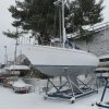 Labud-u-snijegu-04.02.12-06