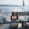 komi__ka_regata_2011_0008