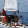 labud___classic_2011__11_