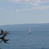 sosw_i_prije_13_03__3_