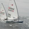 palma2010__16_