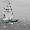 palma2010__17_