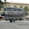 palma2010__1_
