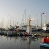 palma2010__7_