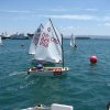 regata_s.j.__10_