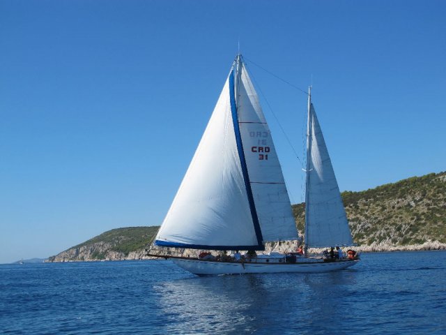 labud_clasic_2010__17_