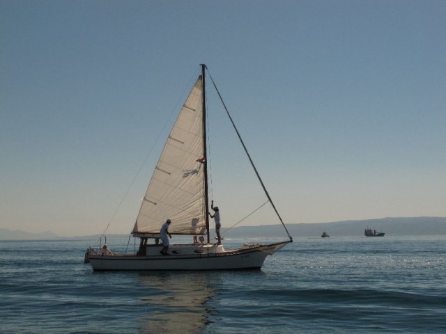 labud_clasic_2010__3_