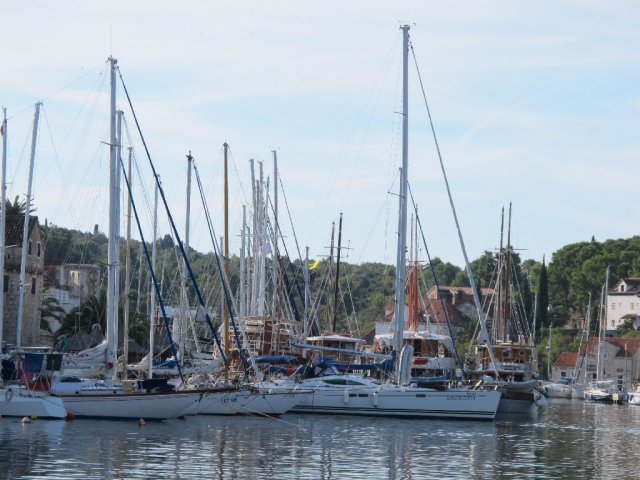 labud_clasic_2010__55_