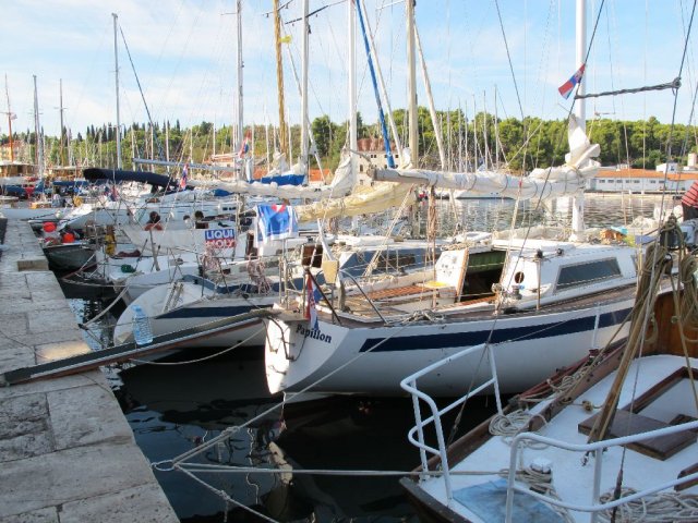 labud_clasic_2010__57_
