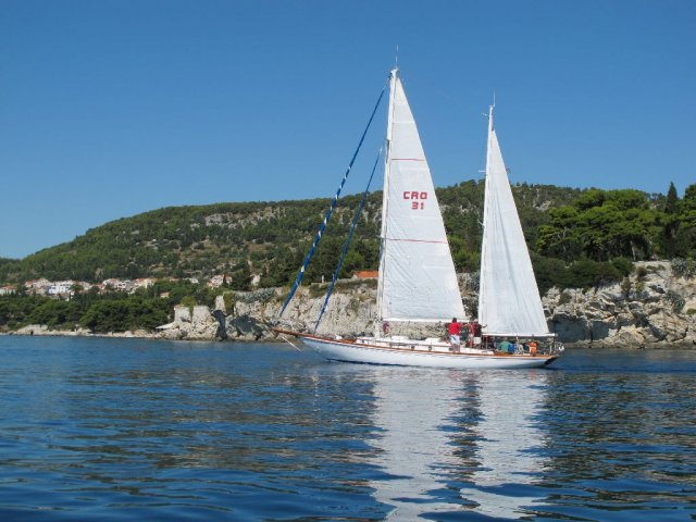 labud_clasic_2010__5_