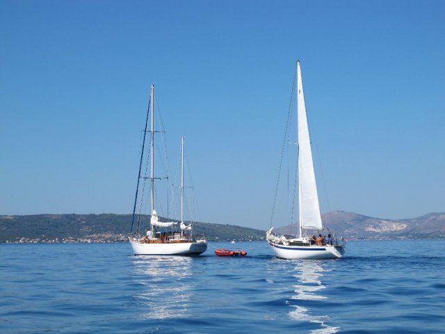 labud_clasic_2010__6_