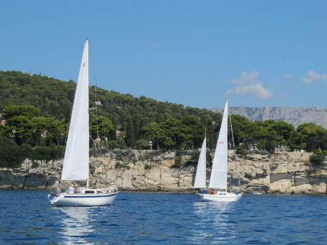 labud___classic_2011__12_