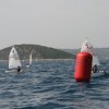 IMG_1031