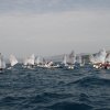 IMG_1043