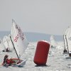 mm2012nikolasisko__61_