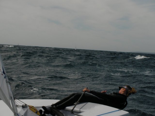palma2010__11_