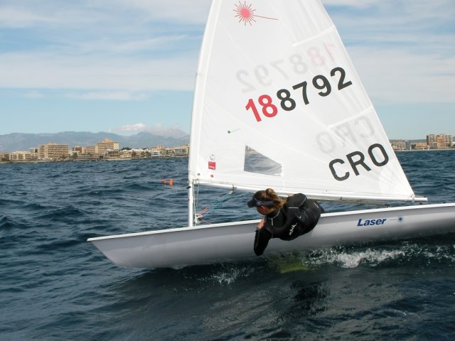 palma2010__12_