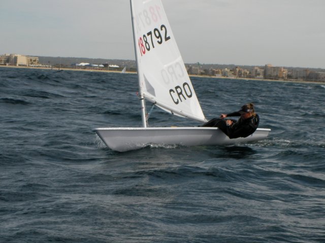 palma2010__13_