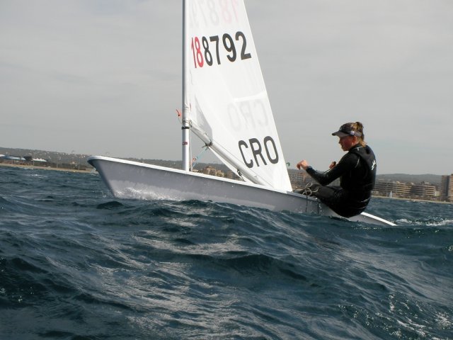 palma2010__14_