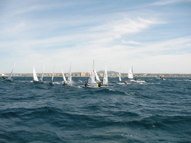 palma2010__18_