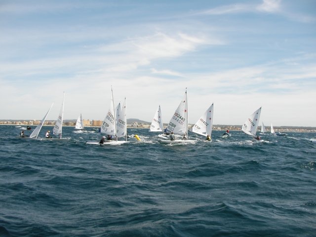 palma2010__19_