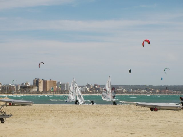 palma2010__20_