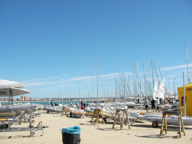 palma2010__21_