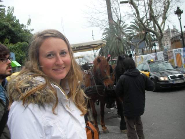 palma2010__4_