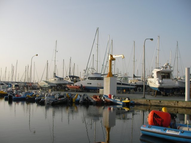 palma2010__7_