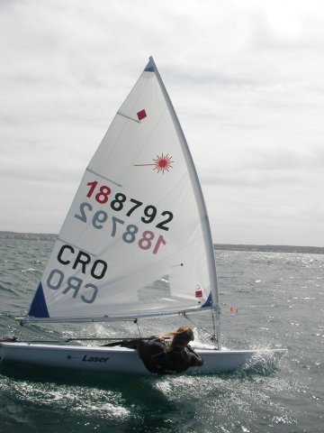 palma2010__8_