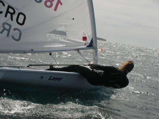 palma2010__9_