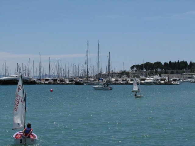 regata_s.j.__26_