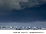palma 2014_radial