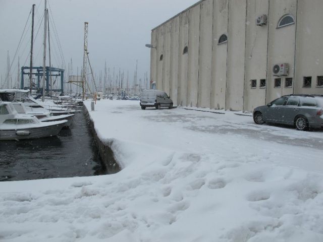 Labud_u_snijegu_04.02.12_02