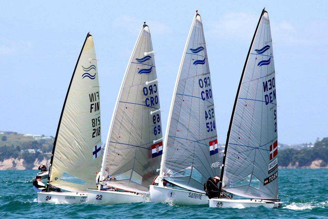 Bambi SP Finn 20155