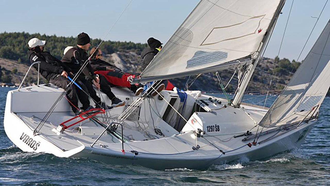 Stipe WSC 20161