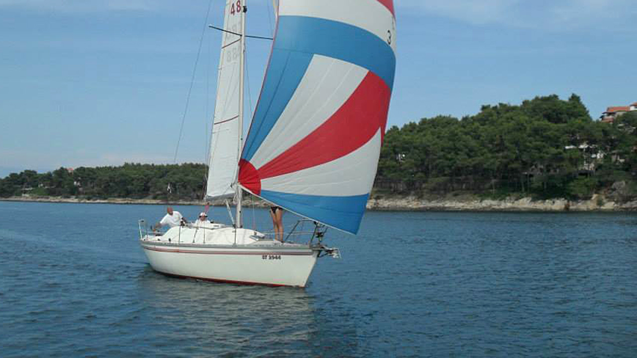 Strilac Hvarska 2015