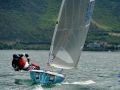 bambi garda_2013
